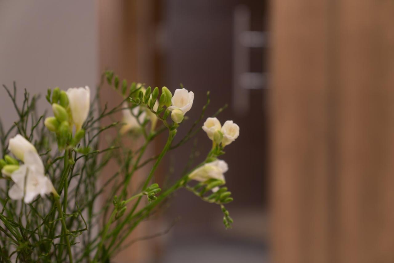 Panorama Residence Moesern Seefeld in Tirol Ngoại thất bức ảnh